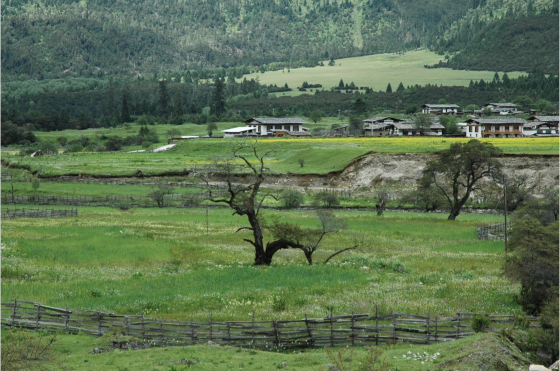 包滿珠:淺談城市建設與自然生態系統的關系