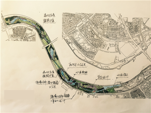 朱玲:城市大型公共綠地生態智慧迭代