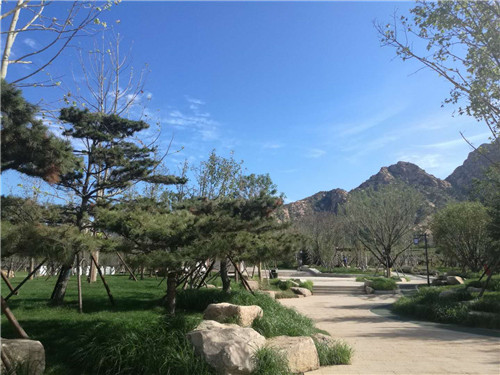 園冶杯專業獎:昌黎產業小鎮項目園林景觀