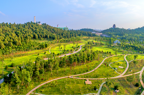園冶杯專業獎:曾子廣場及洪山河景觀綠化