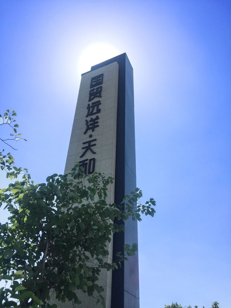 園冶杯專業獎:廈門翔安國貿遠洋天和示范區