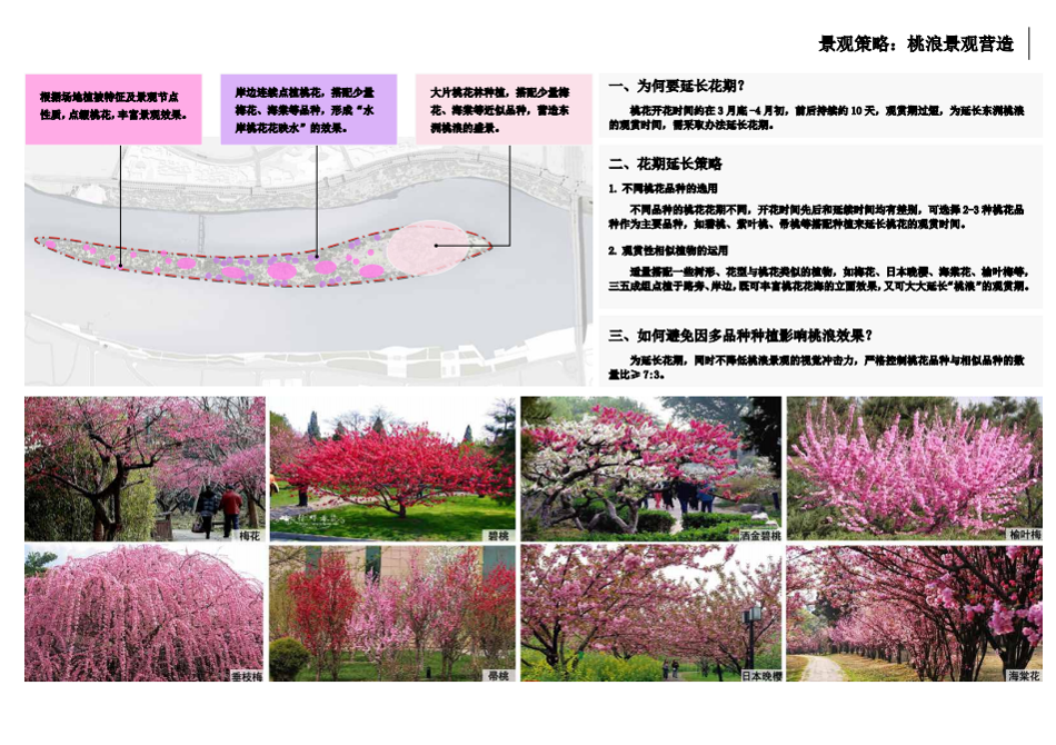 園冶杯專業獎:衡陽市東洲島綜合開發項目景觀設計