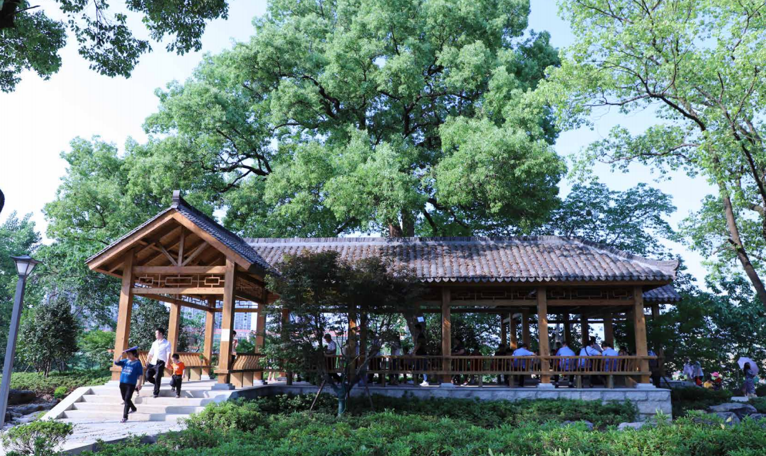 園冶杯專業獎:衡陽市東洲島綜合開發項目景觀設計