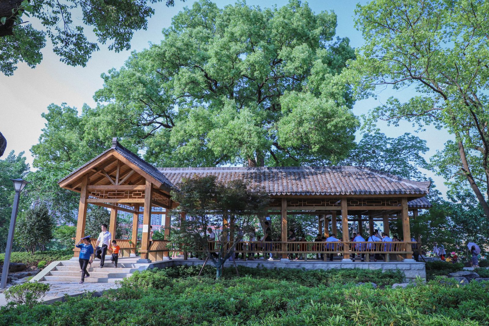 園冶杯專業獎:衡陽市東洲島綜合開發項目景觀設計