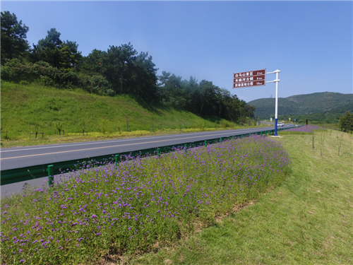 園冶杯專業(yè)獎:巢湖市烔長路景觀工程