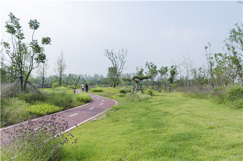 園冶杯專業(yè)獎:巢湖市烔長路景觀工程