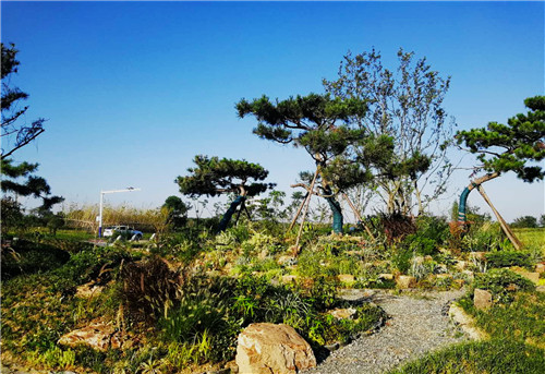 園冶杯專業(yè)獎:巢湖市烔長路景觀工程