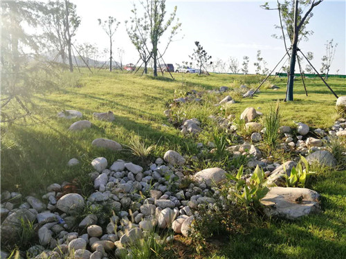 園冶杯專業(yè)獎:巢湖市烔長路景觀工程