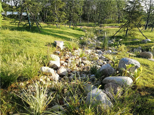 園冶杯專業(yè)獎:巢湖市烔長路景觀工程