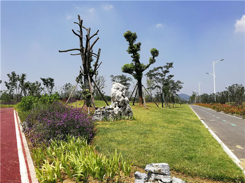 園冶杯專業(yè)獎:巢湖市烔長路景觀工程