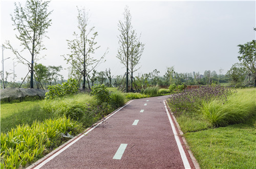 園冶杯專業(yè)獎:巢湖市烔長路景觀工程
