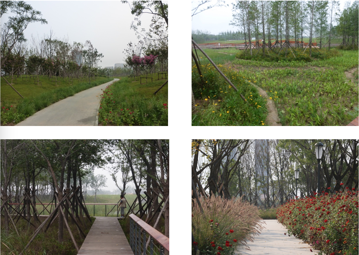 園冶杯專業獎：城市中軸線景觀綠化工程