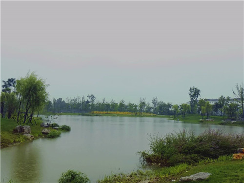 園冶杯專業獎:鳳陽縣新城區水系治理工程