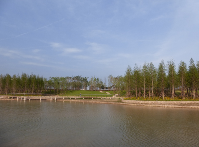 園冶杯專業獎：城市中軸線景觀綠化工程