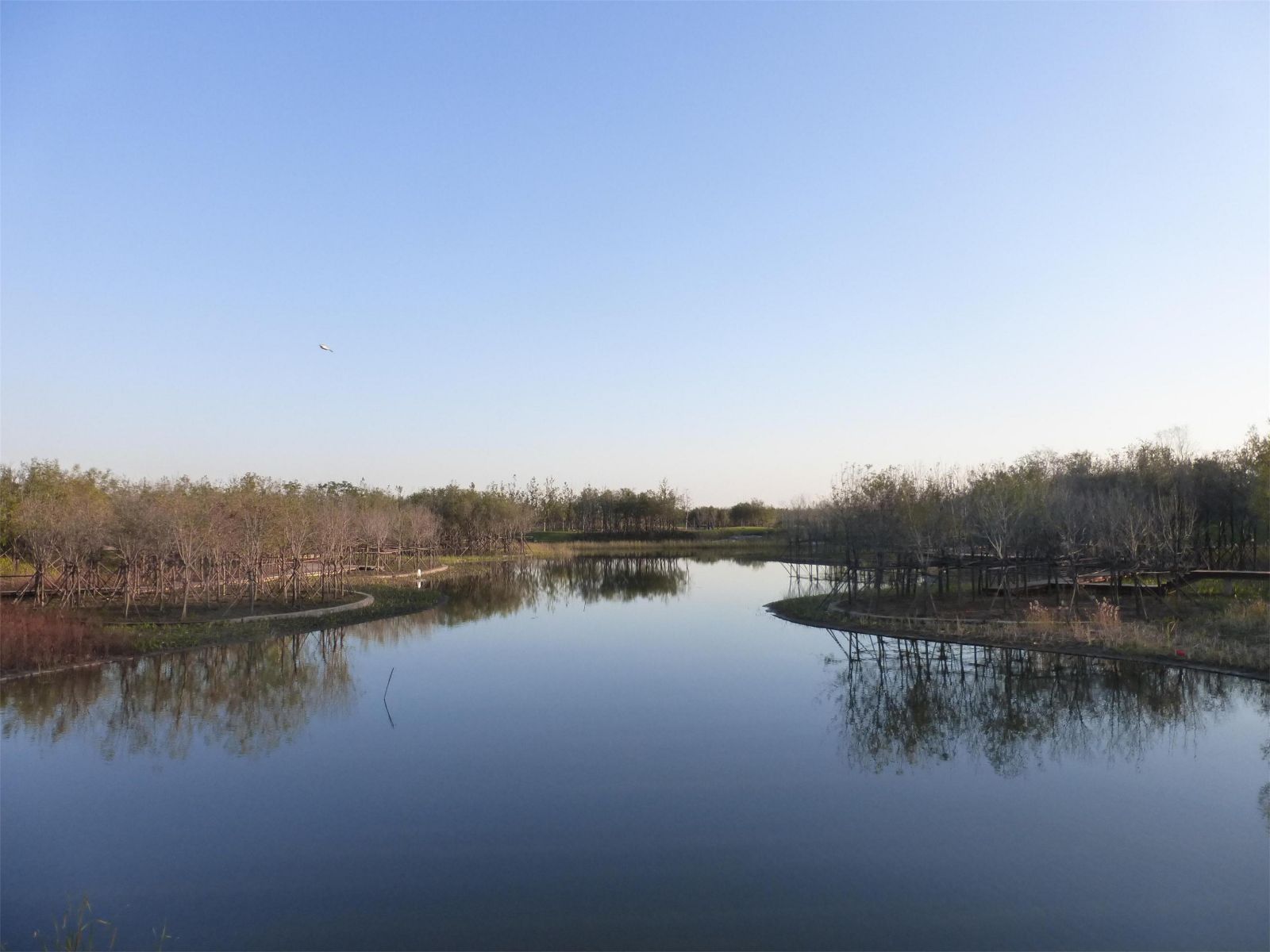 園冶杯專業獎：城市中軸線景觀綠化工程