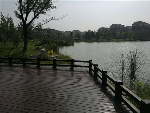 園冶杯專業獎:鳳陽縣新城區水系治理工程