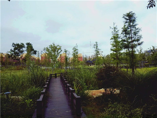 園冶杯專業獎:鳳陽縣新城區水系治理工程