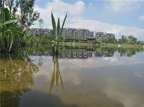 園冶杯專業獎:鳳陽縣新城區水系治理工程