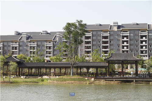 園冶杯專業獎：鳳陽縣新城區水系治理工程