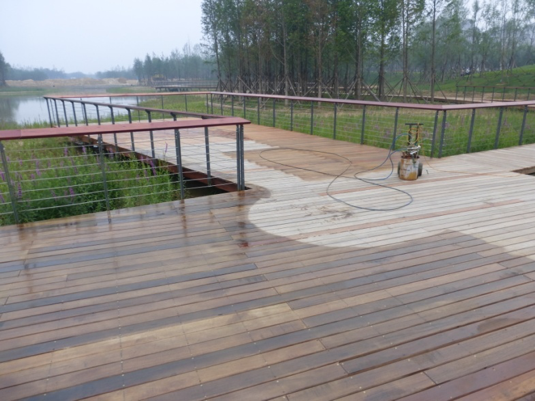 園冶杯專業獎：城市中軸線景觀綠化工程