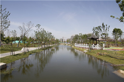 園冶杯專業獎：鳳陽縣新城區水系治理工程