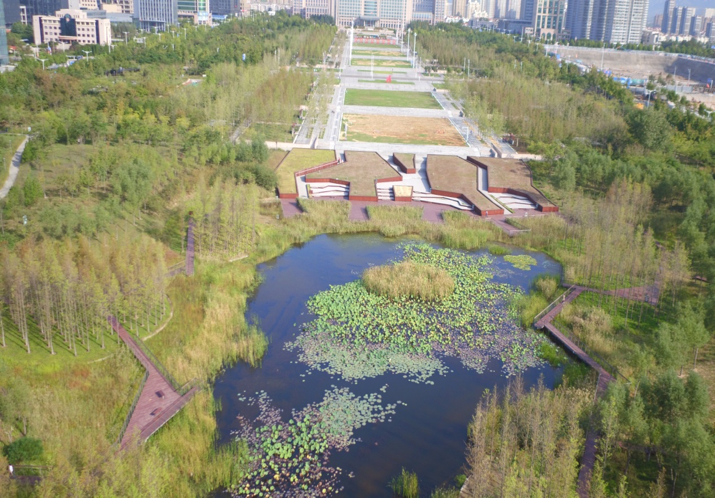 園冶杯專業獎：城市中軸線景觀綠化工程