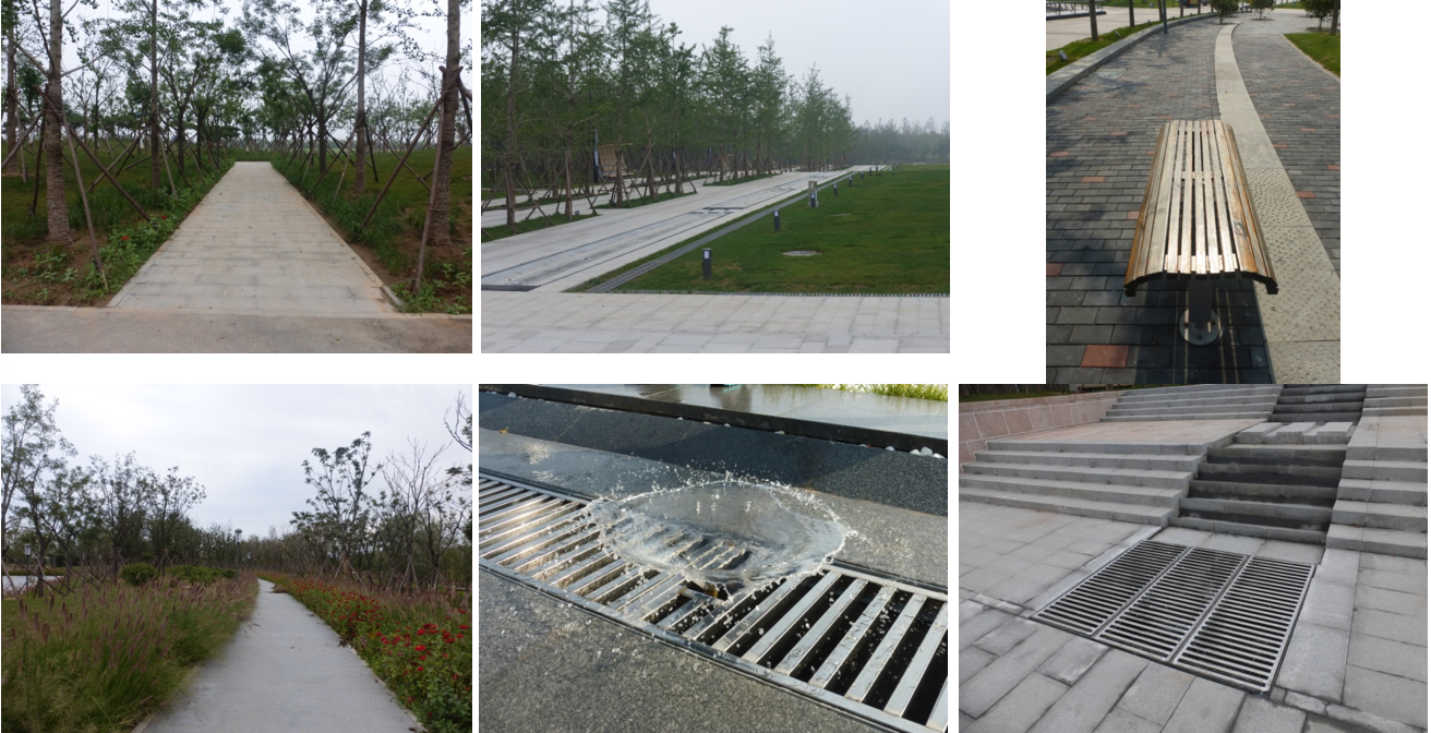 園冶杯專業獎：城市中軸線景觀綠化工程