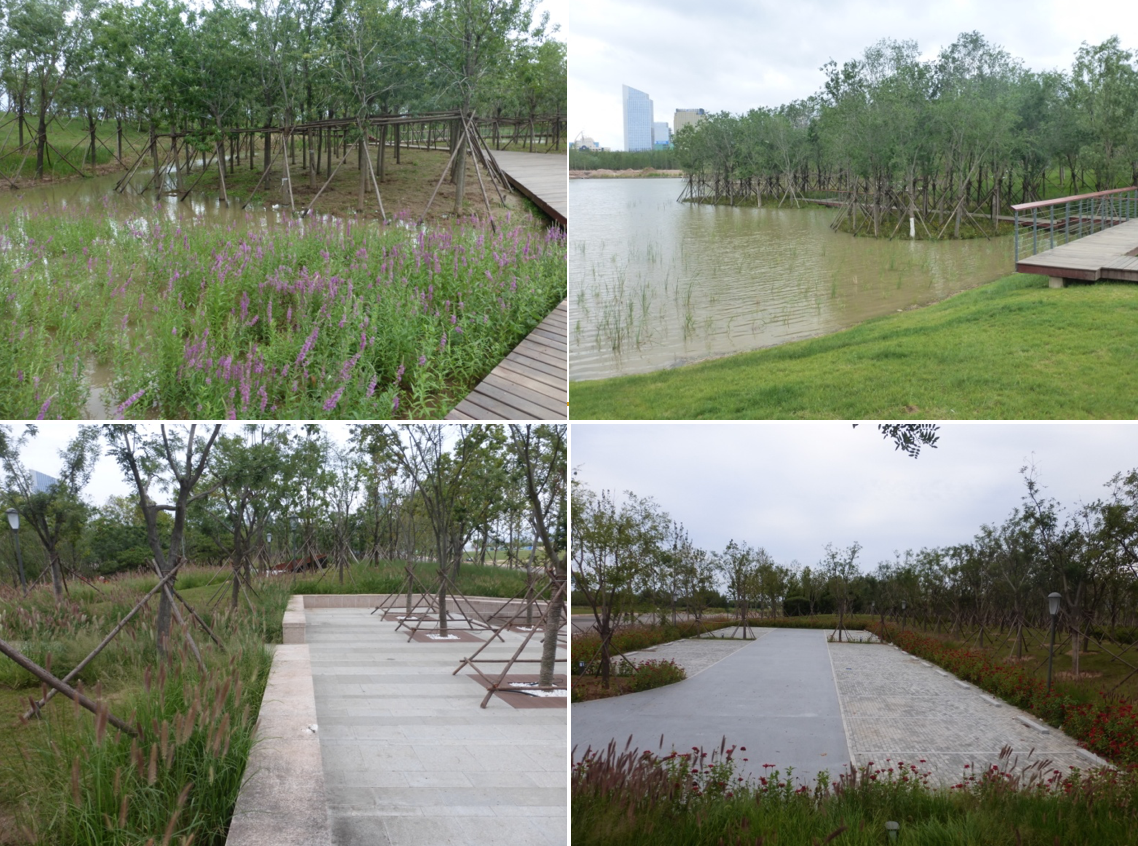 園冶杯專業獎：城市中軸線景觀綠化工程