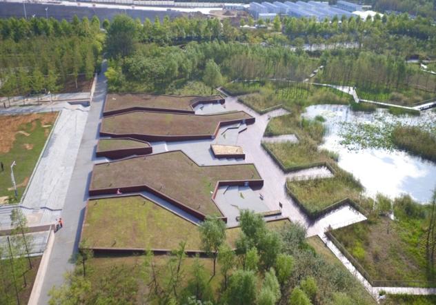 園冶杯專業獎：城市中軸線景觀綠化工程