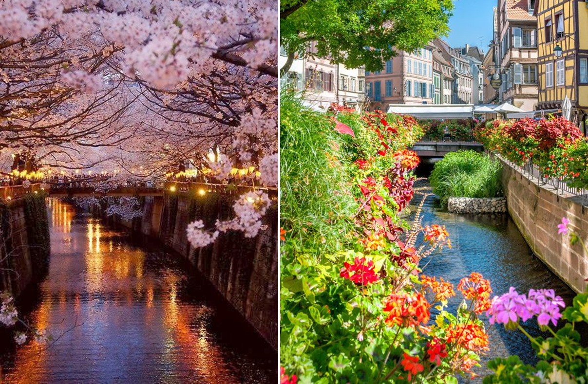 園冶杯專業(yè)獎:北京格拉斯小鎮(zhèn)五期景觀工程設(shè)計