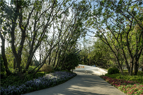 園冶杯專(zhuān)業(yè)獎(jiǎng):青島龍湖昱城體驗(yàn)區(qū)景觀(guān)設(shè)計(jì)