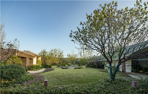 園冶杯專(zhuān)業(yè)獎(jiǎng):青島龍湖昱城體驗(yàn)區(qū)景觀(guān)設(shè)計(jì)