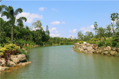 園冶杯專業(yè)獎:不忘初心·共建紅林