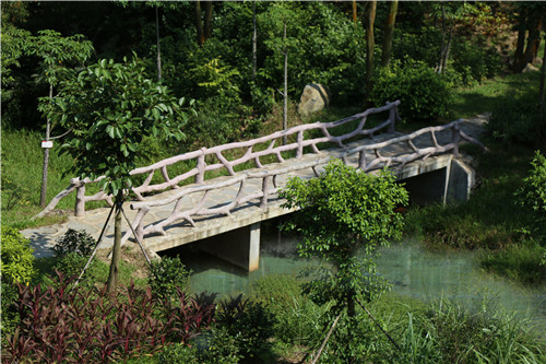 園冶杯專業(yè)獎:不忘初心·共建紅林