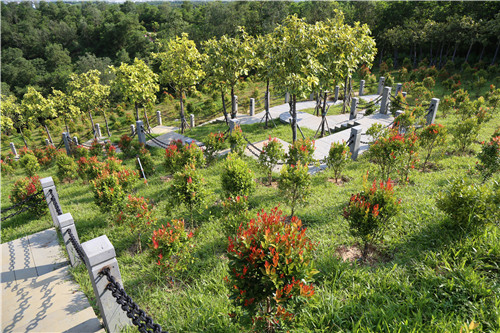 園冶杯專業(yè)獎:不忘初心·共建紅林