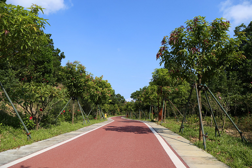 園冶杯專業(yè)獎:不忘初心·共建紅林