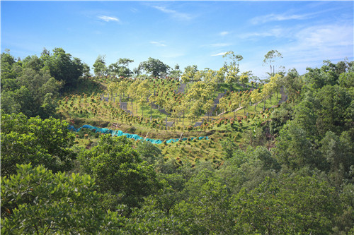 園冶杯專業(yè)獎:不忘初心·共建紅林