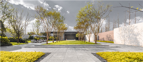 園冶杯專業獎:云南金科·江湖海示范區