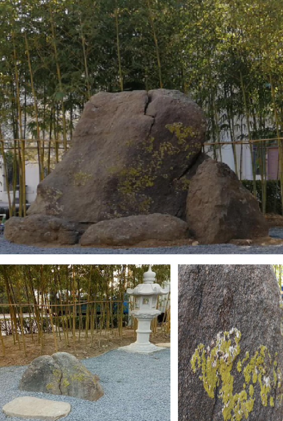 園冶杯專業獎:麗高王府庭院景觀設計