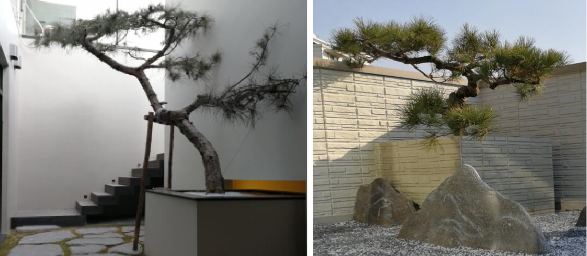 園冶杯專業獎:麗高王府庭院景觀設計