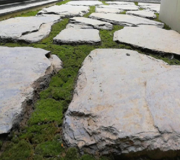 園冶杯專業獎:麗高王府庭院景觀設計