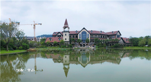 園冶杯專業獎:佛山里水保利紫山景觀設計