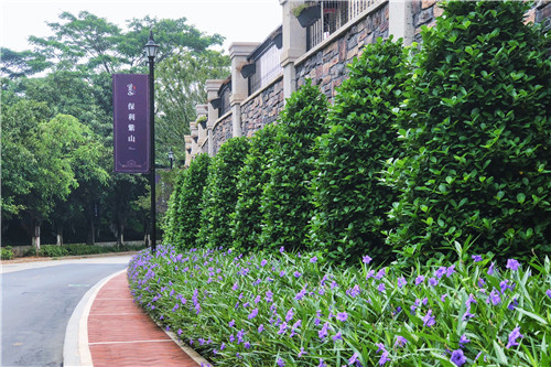 園冶杯專業獎:佛山里水保利紫山景觀設計