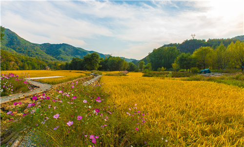 園冶杯專業獎:熱河飲馬川