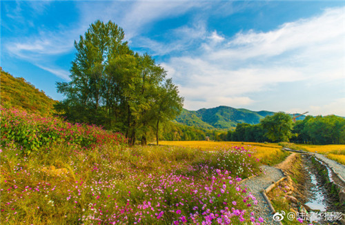 園冶杯專業獎:熱河飲馬川