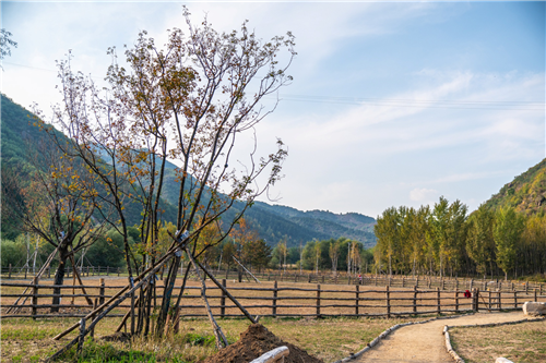 園冶杯專業獎:熱河飲馬川