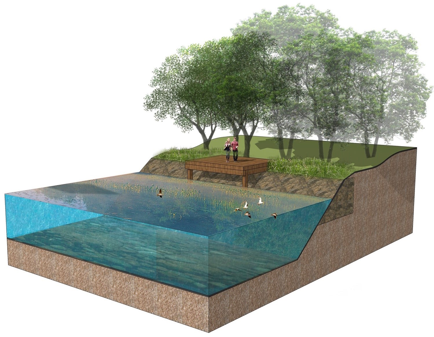 園冶杯專業獎:春花秋色(暫名)景觀工程