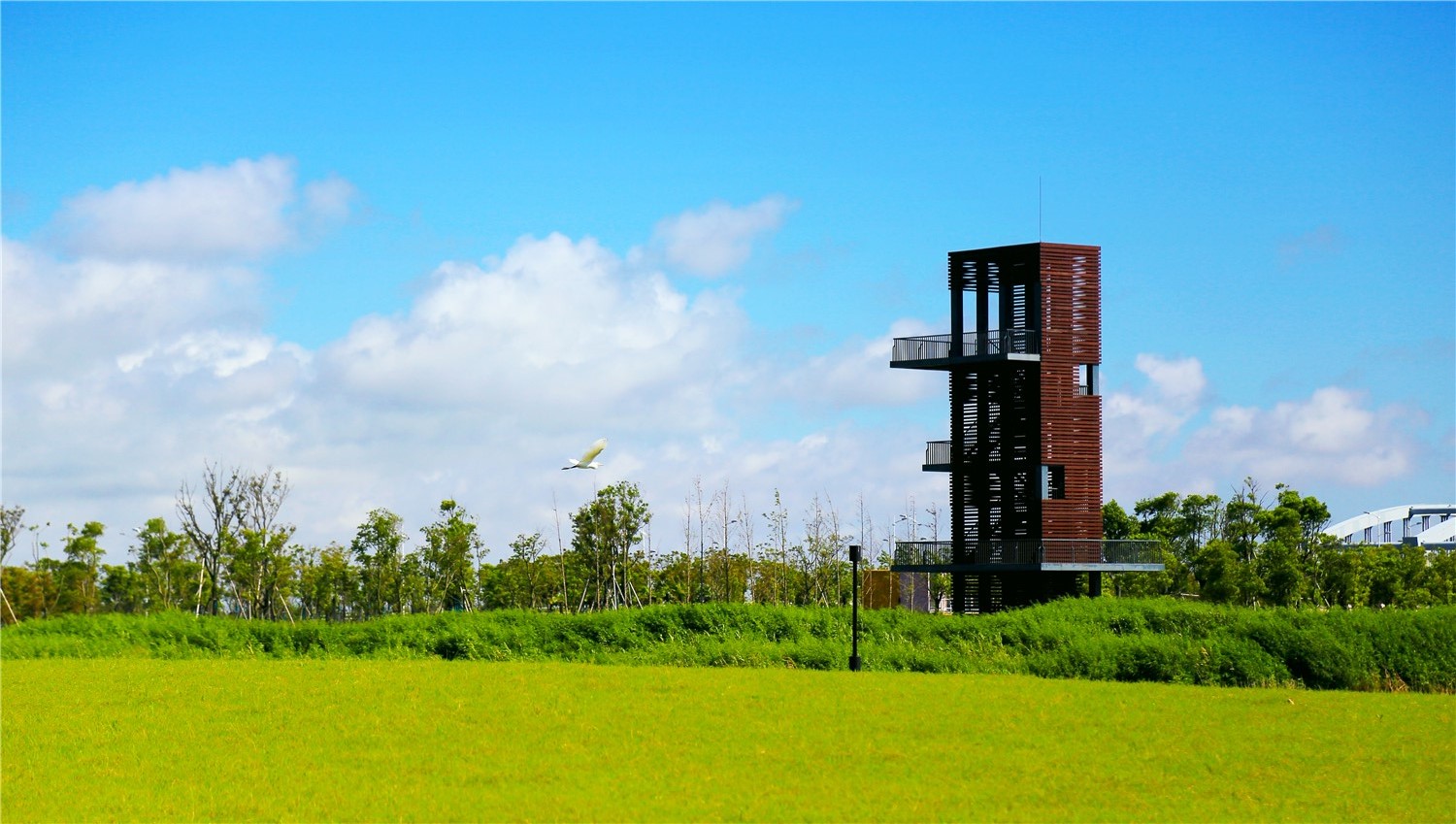 園冶杯專業獎:春花秋色(暫名)景觀工程