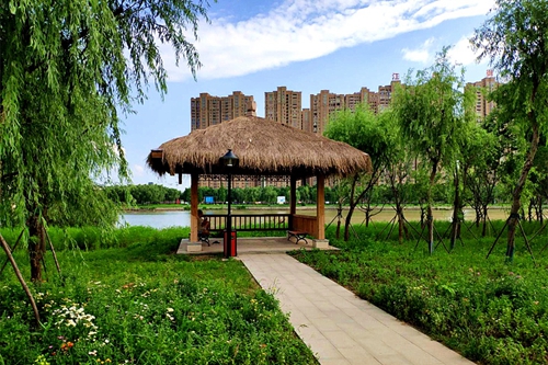 園冶杯專業(yè)獎(jiǎng):老黿塘濕地公園