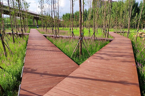 園冶杯專業(yè)獎(jiǎng):老黿塘濕地公園